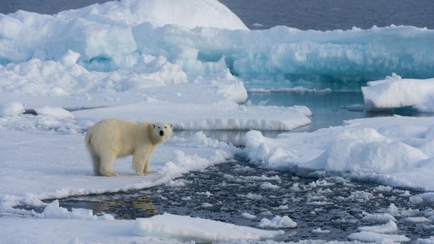 Три проекта ученых РФ и Германии получили гранты на изучение климата Арктики