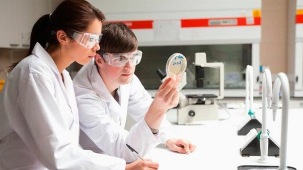 Правительство утвердило распоряжение о вручении премий в области науки для молодых учёных