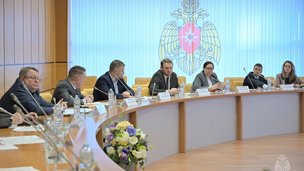 Координационный совет обсудил актуальные вопросы с молодыми учеными МЧС России