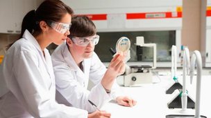 Правительство утвердило распоряжение о вручении премий в области науки для молодых учёных