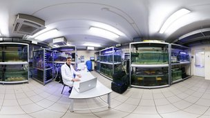 РНФ запускает виртуальные туры по ведущим научным лабораториям России
