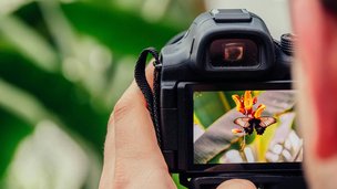 Международный фотоконкурс «Наука в фотографиях»