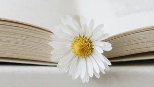 Подборка книг о женщинах в науке к 8 марта